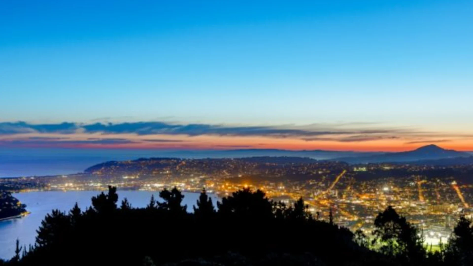 Urban light pollution - Dunedin city at night